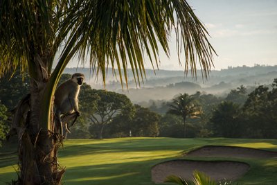 Durban Country Club — tropischer Golfplatz in KwaZulu-Natal